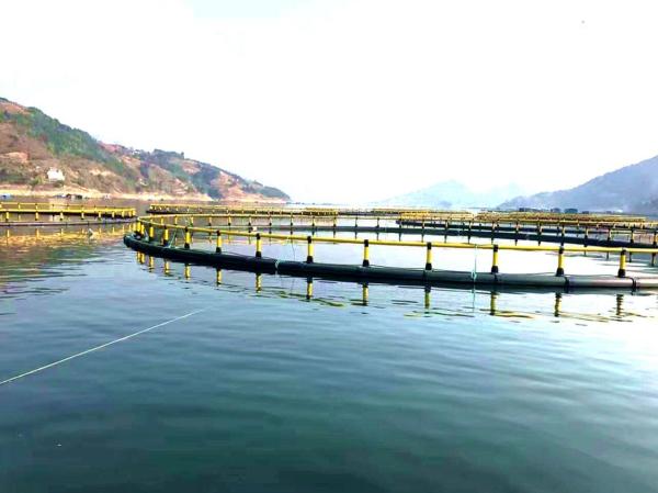 Aquaculture Traps Floating Fish Farming Cage 30-90cm Diameter and Delivery Detail Two Weeks After Receiving Deposit