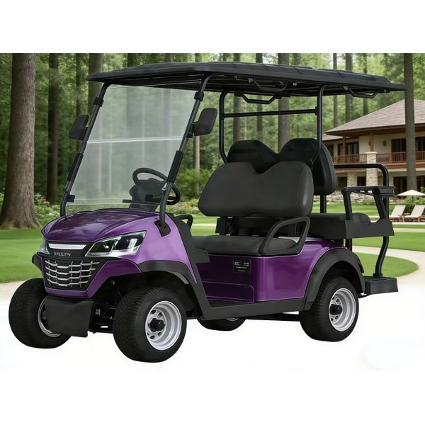 EcoGlide Pro Elegant 4 Seats Golf Cart Stylish Exterior Design Resort Hotel Shuttle Service