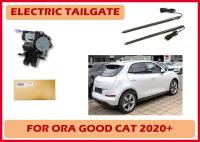 Actuateur de porte d'ascenseur ORA Good Cat Power avec clé de voiture d'origine déverrouillage à distance