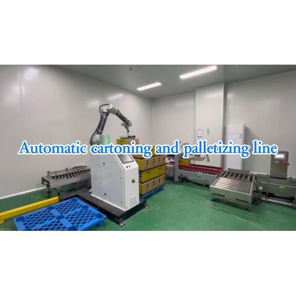 WG300 Industrial Automatic Food Automatic Packaging Line Solution SUS304