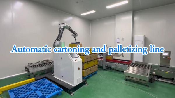 Automated Packaging Line For 3kg Tin-packed Tomato Sauce From Production To Palletizing Automatically