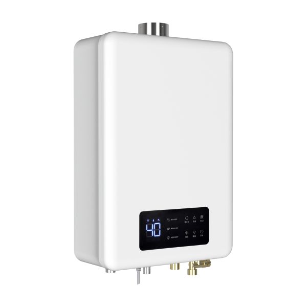 Stainless Steel Housing Home Gas Water Heater Energy Efficient Durable Construction