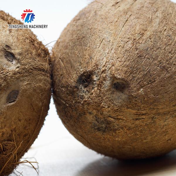 150KG 1.1KW Coconut peeling machine Thailand coconut King electric peeling machine coconut peeling machine equipment