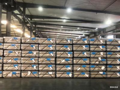 Premium Electrolytic Matte Finish Tinplate Sheets For Food Beverage Can Packaging