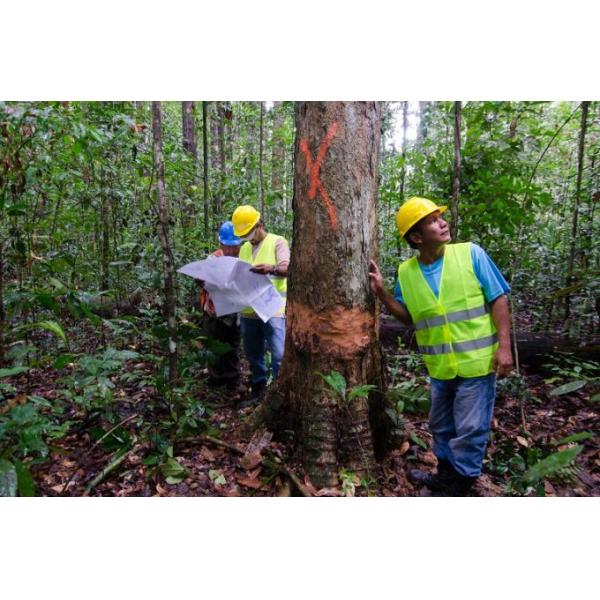 Видимые яркие цвета Лесная древесная маркировка Краска для деревообрабатывающей промышленности