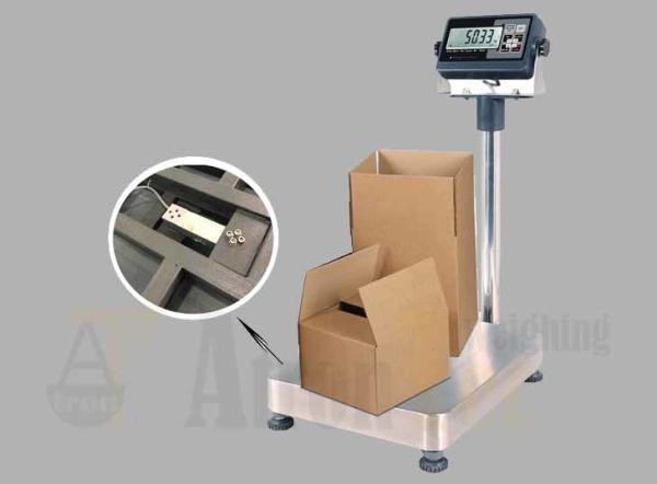 Carbon Steel Platform Scale, Stainless Steel Bench Scale, Animal Weighing Scale