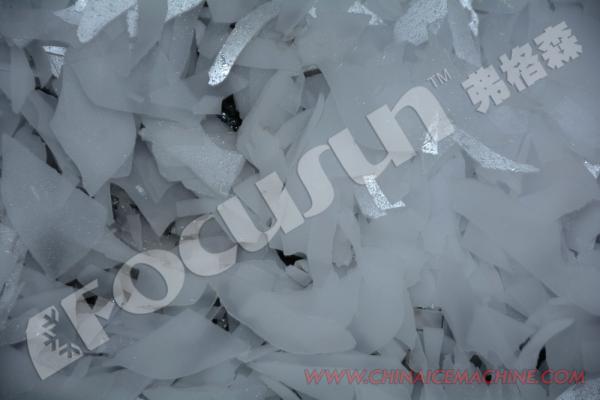 Pequeña Máquina de Hielo en Escama con Depósito para Marisco y Pescado de 1T/24 Horas