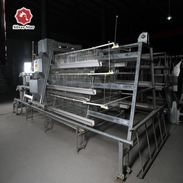 Automatic Drinking Baby Chick Poultry Battery Cage Galvanized