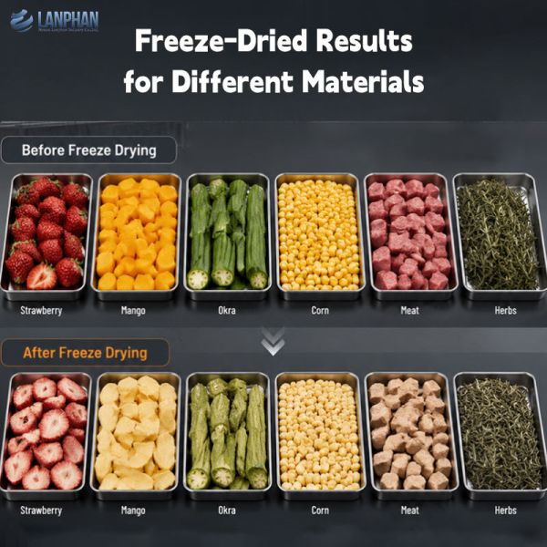 Compact 0.5m2 Vacuum Freeze Dryer with 4-6KG Input Capacity and Food-grade Stainless Steel for Small Batch Production