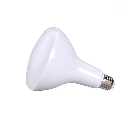 Working Time 15000 Hours BR30 Sensor Light Dimmable LED Bulbs 110v/220v for Household