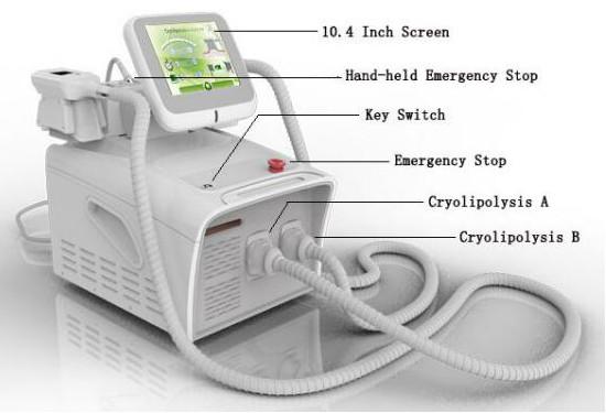 OEM&ODM supplier portable 2 handles 6 lipo pads hottest cryotherapy cryolipolysis slimming