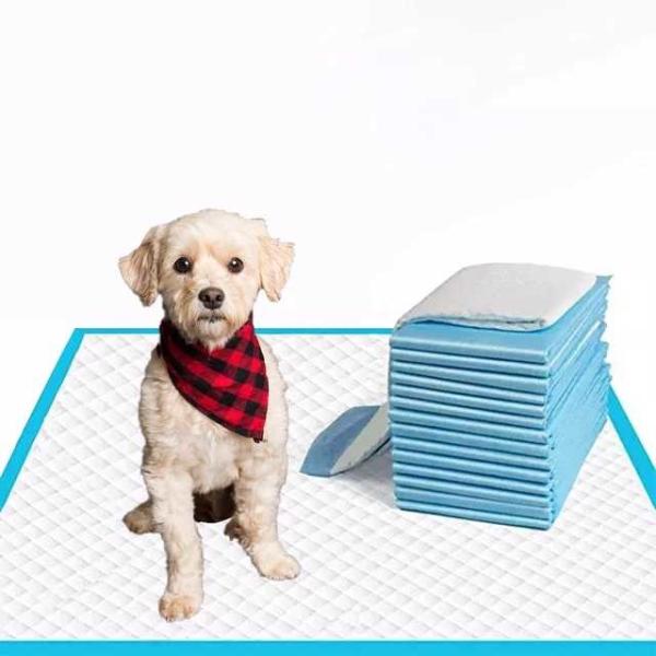 30 x 36 X Grand Noir Proof de fuite chien Wee Wee Pads pour l'entraînement de chiot adhésif 5 couches