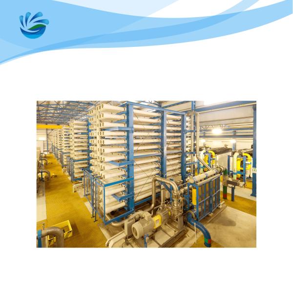 Sistema salgado do filtro de água do RO da planta de dessanilização da água do mar de irrigação
