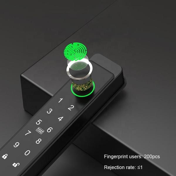 Waterproof TTlock Smart Lock FPC Fingerprint Remote Control Biometric Gate Lock