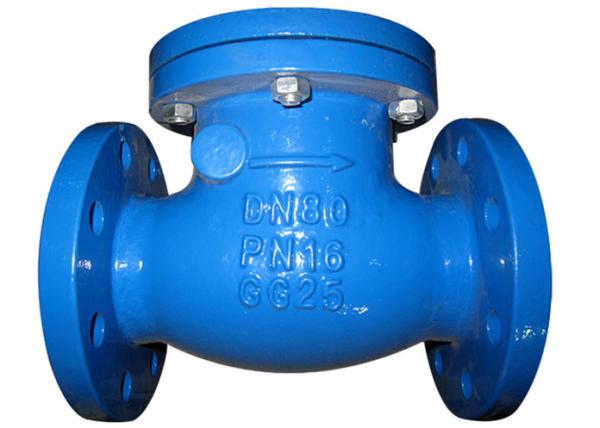 PN10 / PN16 Ductile Iron Valves Hydraulic Swing Check Valve ANSI BS DIN JIS
