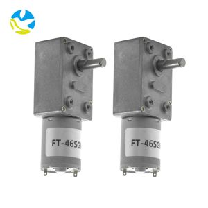 FT-46SGM370 High Torque Slow Rpm Electric Motor 12v 24v Dc Worm Gear Motor