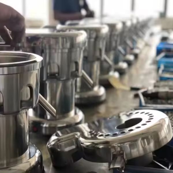 Customized Commercial Juicer with Pulp Retention Fruit and Vegetable Juicer Stainless Steel Industrial Juicer 220V 370W Apple Orange Pear Banana Fruit Juicer