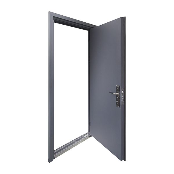 Modern Steel Exterior Iron Security Doors For Commercial Properties