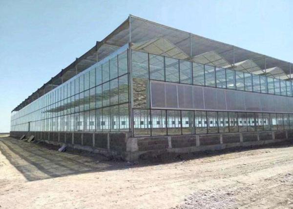 Wind Resistance Polycarbonate Solar Panel Greenhouse