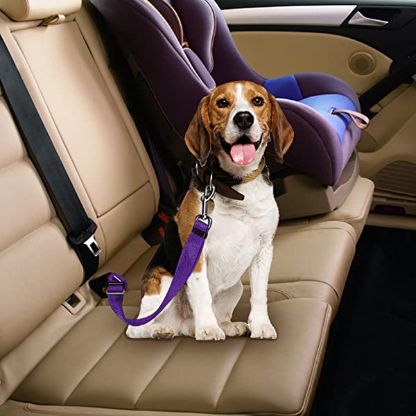 Adjustable Dog Harness Leash Yucool Safety Leads Nylon Fabric Multiple Colors