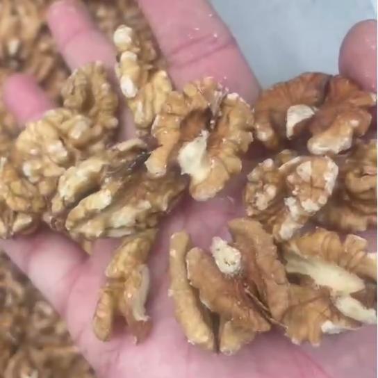 Multi-grade Walnut Kernel Sorting Machine With AI-Driven High-Definition Scanning Stable Airflow Uniform Distribution Smart Accurate