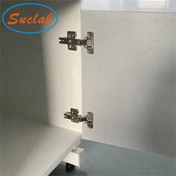 Acid Resistant Durable Modular Lab Bench , Multifunctional Chemistry Lab Countertop