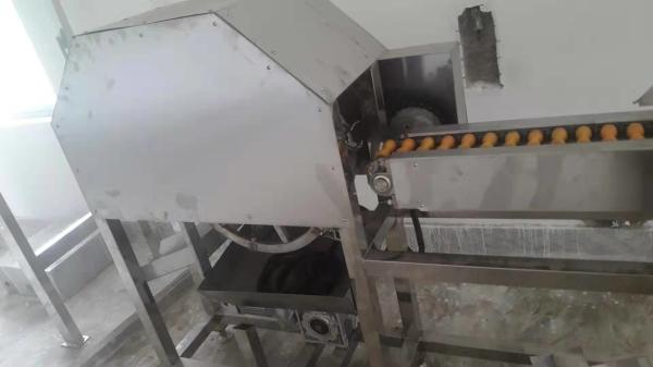 Boa linha de produção automática ovo da resistência térmica que lava e linha de quebra