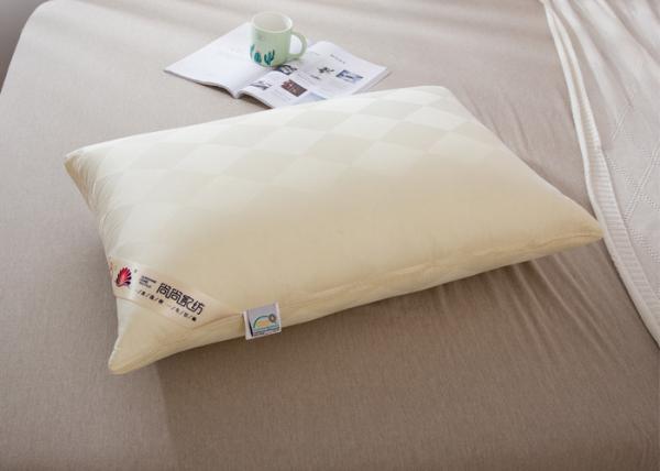 48*74cm Hypoallergenic Cotton Down Pillows