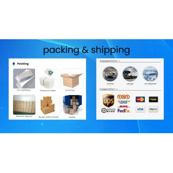 OEM PET Backlit Industrial Membrane Switch Support Complex Graphics Customization