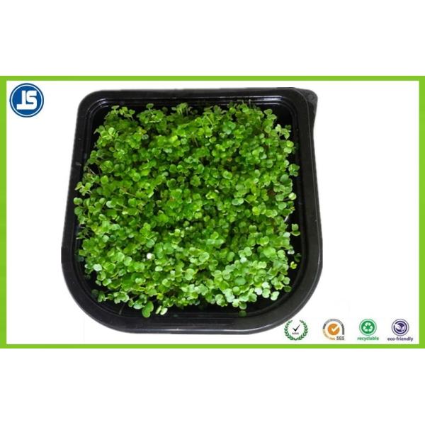 Plastic Seed Tray Blister Packaging Tray With Black For Plants Grown