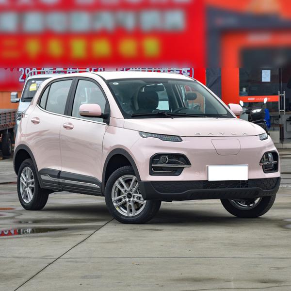 Electric SUV Dayun Yuehu Left and Right Rudder Electric Vehicle for Energy Vehicles