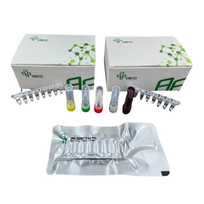 Kit de detecção de salmonela por fluorescência 14 meses