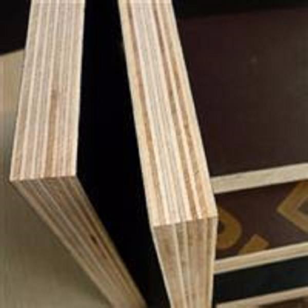 Waterproof Brown Film Faced Plywood/Shuttering Plywood/Construction Plywood for Concrete