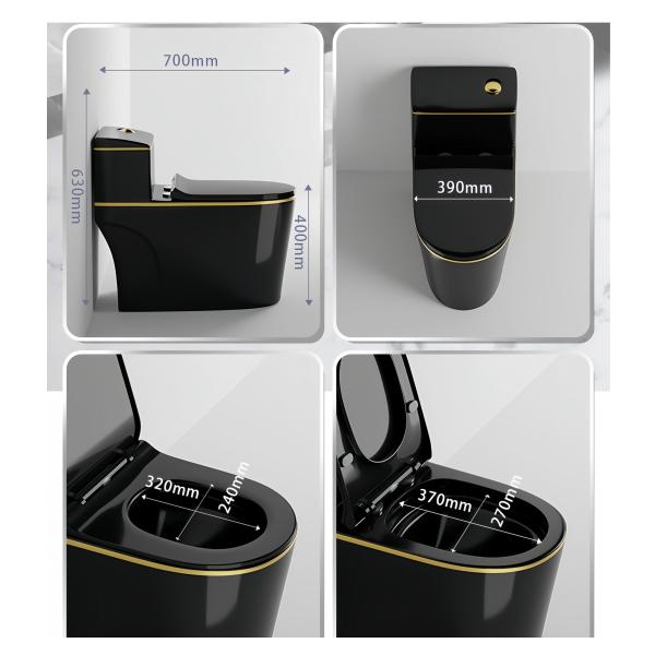 Installation Floor Mounted Dual Flushing Siphon Flush Black Ceramic One Piece Toilet