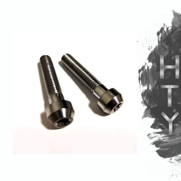 Grade 5 Ti6Al4V  Titanium Motorcycle Parts Titanium Torx Socket Head Screw M6x10 For Bicycle