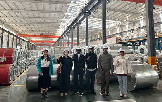 Shandong Dingcheng Liye Materials Co., Ltd