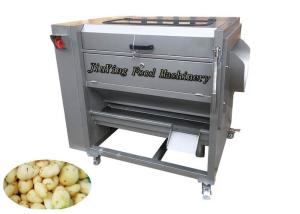 Tipo máquina de Brusher de Peeler das frutas e legumes para a casca e a lavagem