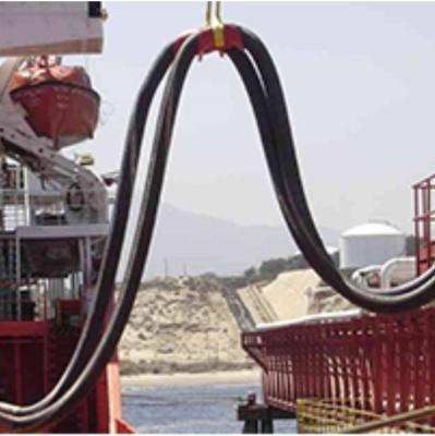 12 polegadas Marine Oil Hose