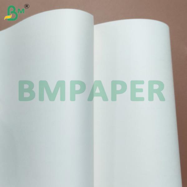 Hojas de papel para vasos recubiertas de PE resistentes al calor, ecológicas