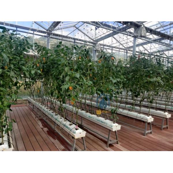 Hortalizas Substrato de drenaje de PVC Plantación de canaletas Sistema de canalizaciones hidropónicas