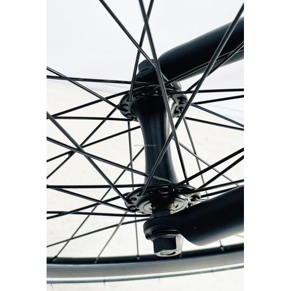 Hidden Battery 36V10AH Lithium Battery 250W Bafang Motor 25KM/H Single Speed Electric Bike