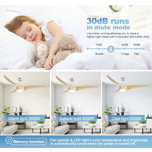 Logotipo OEM 1stshine 54 