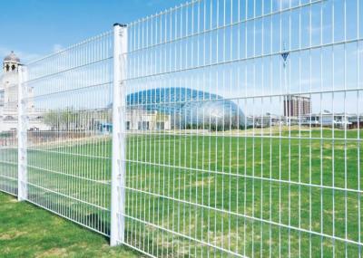 Galvanized Durable 868 656 Double Horizontal Wire Fencing for Garden