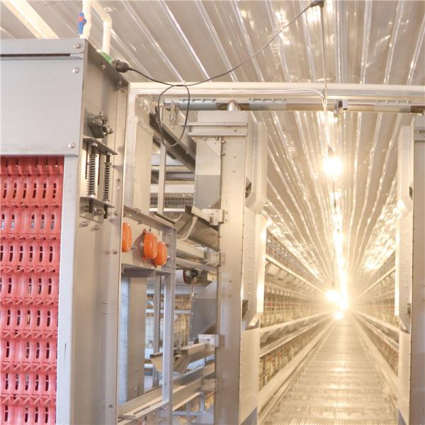 H Type 256 Birds / Set Automated Battery Cage System Poultry Farming