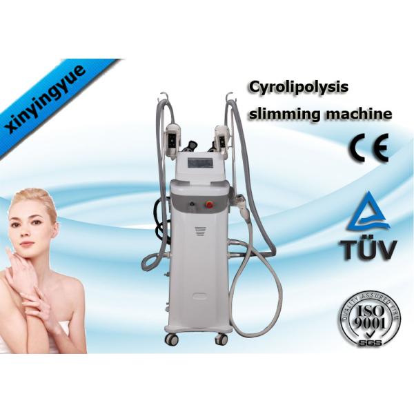 5 Handles Cryolipolysis Slimming Machine With Cavitation RF Fat Loss