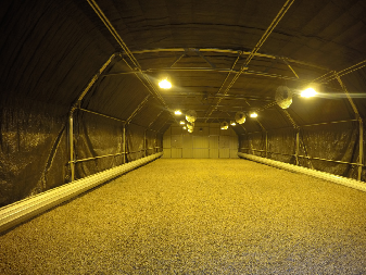 Cultivation de champignons en polycarbonate dans des serres