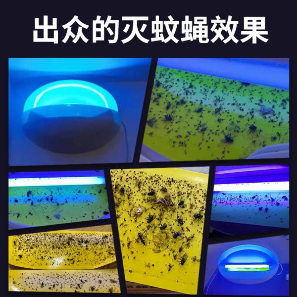 Silent Mosquito Trap Machine  White Indoor Mosquito Bug Catcher