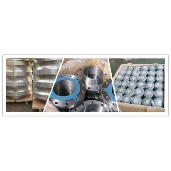 ANSI B16.5 Stainless Steel Flanged Fittings Stainless Sus Flange
