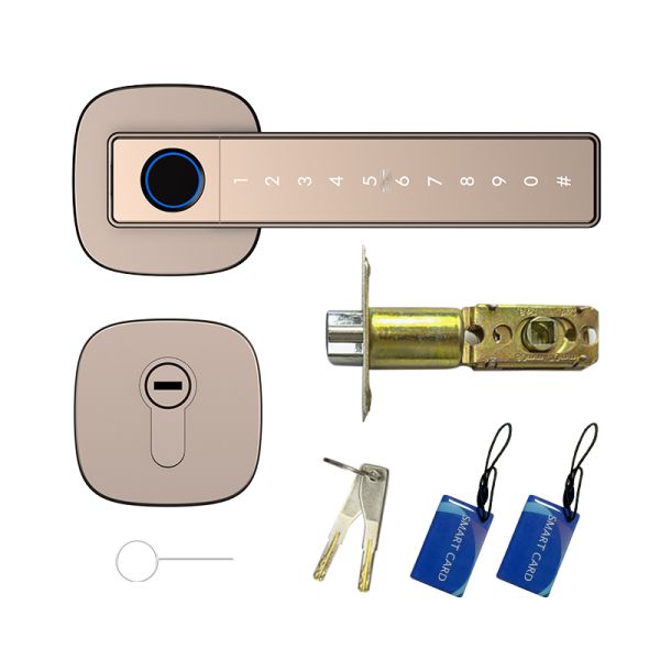 Tuya Smart Lock Fingerprint Electronic Keypad Entry Aluminum Alloy Royal Gold Color Durable Auto-locked Door Handle Smart