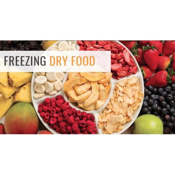 Облегченное энергопотребление сушильщика замораживания кухни небольшое бежать настоящее низкое